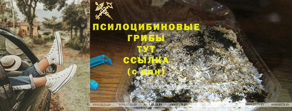 альфа пвп Бородино