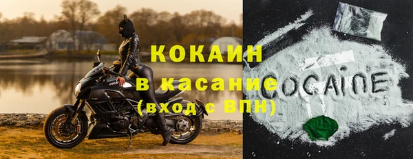 гидра Бронницы