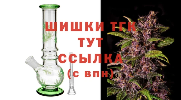 гидра Бронницы