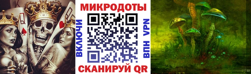 как найти наркотики  Константиновск  Галлюциногенные грибы мицелий 